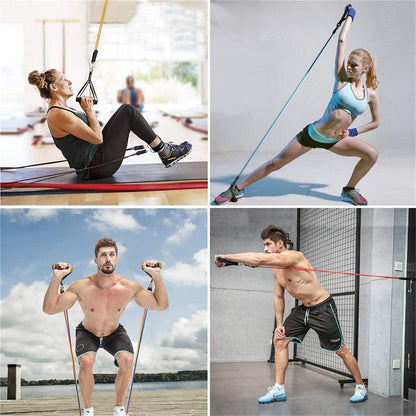 FitPro Elite - Complete Kit of 17 Resistance Bands