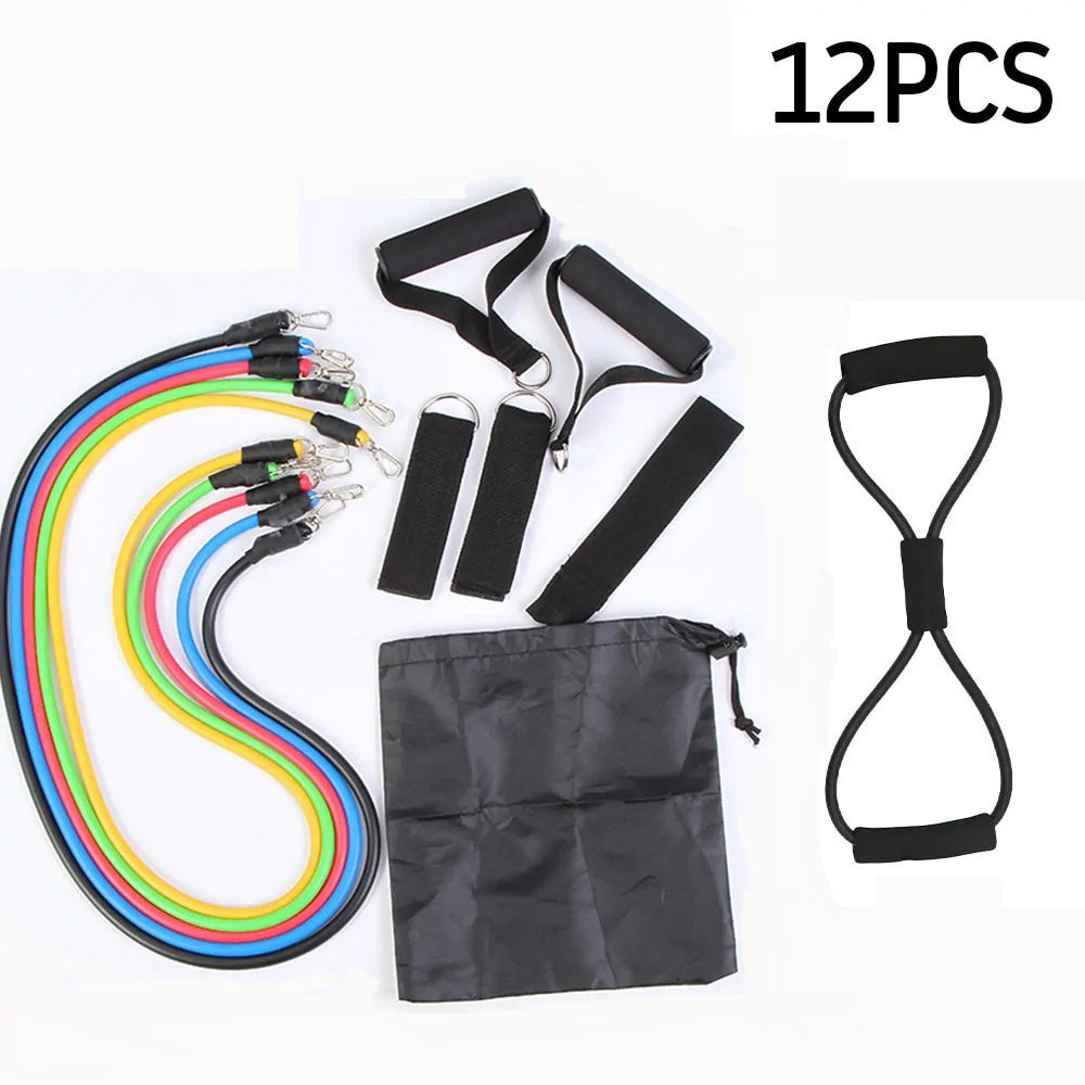 FitPro Elite - Complete Kit of 17 Resistance Bands